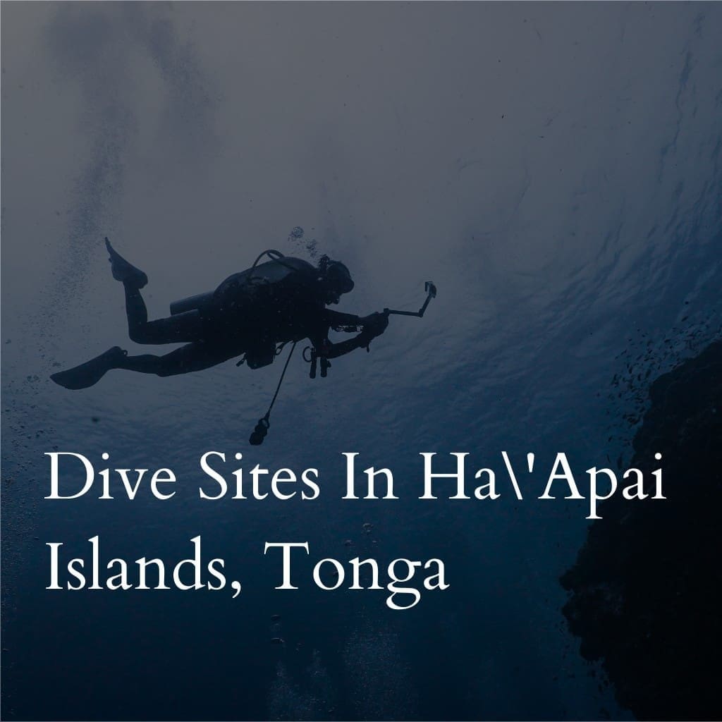 Diver exploring Ha'Apai Islands, Tonga