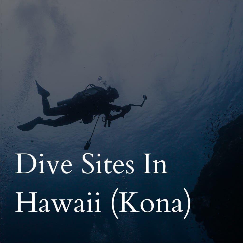 Diver exploring underwater in Kona, Hawaii