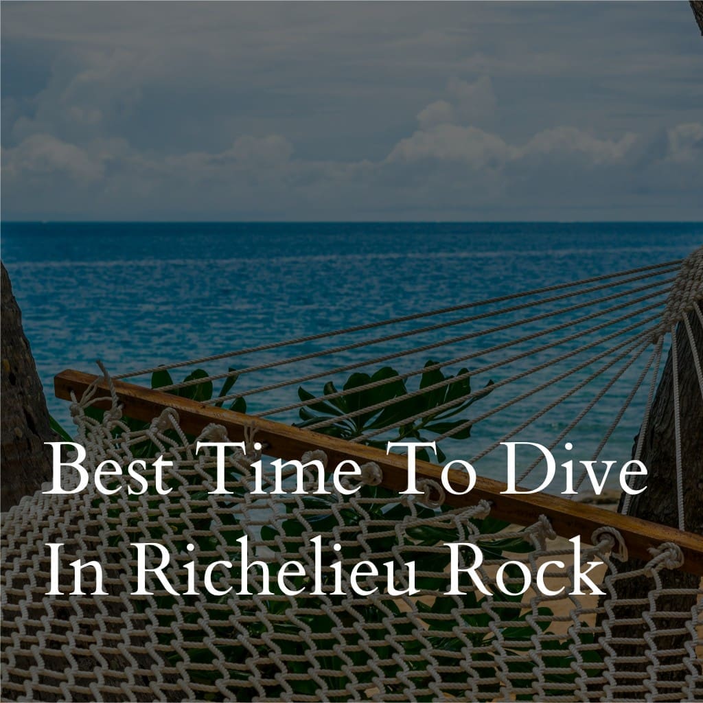 Hammock overlooking ocean with overlay text about diving