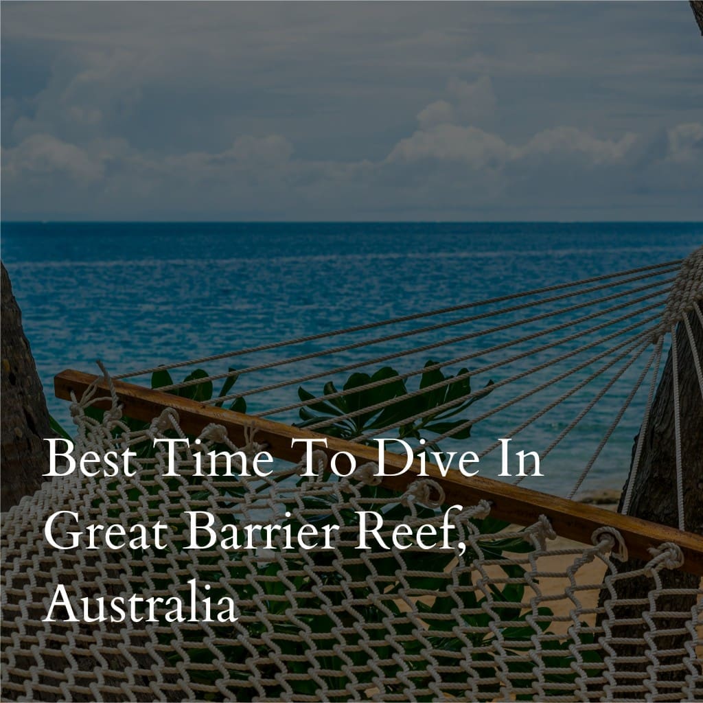 Hammock overlooking ocean with text about diving in Australia