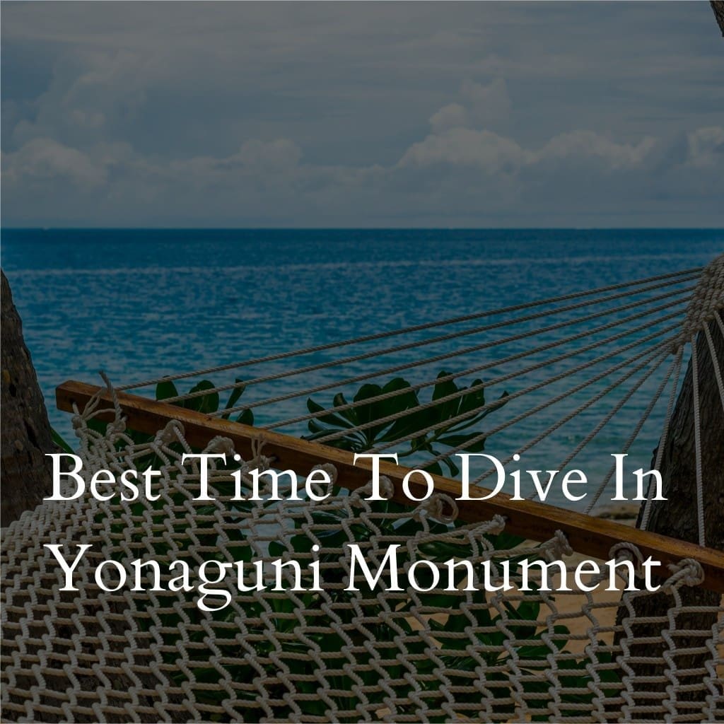 Hammock overlooking ocean, text about Yonaguni Monument diving