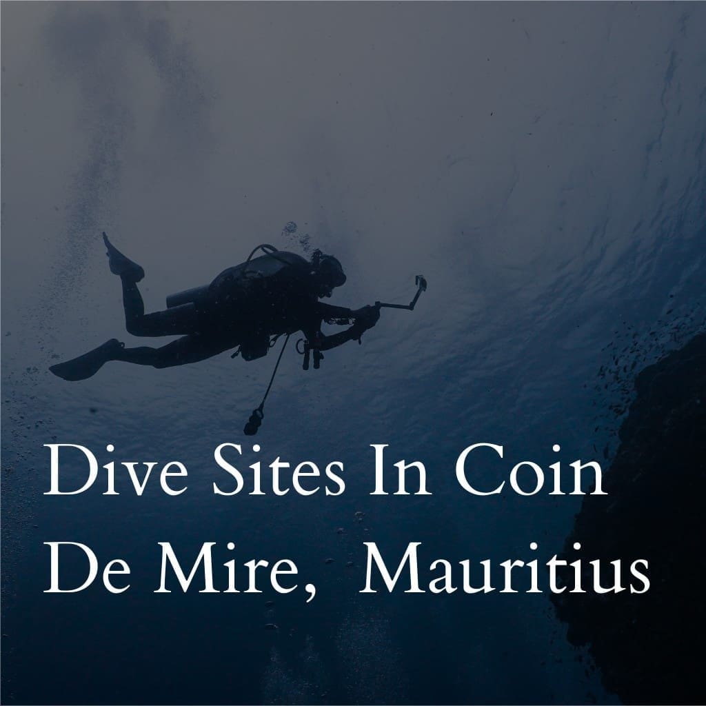 Scuba diver near Coin De Mire, Mauritius