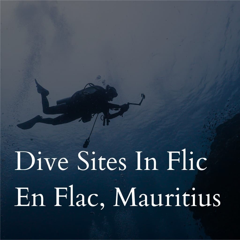 Scuba diver underwater at Flic en Flac, Mauritius