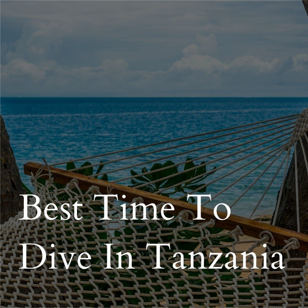 Hammock by ocean promoting diving in Tanzania