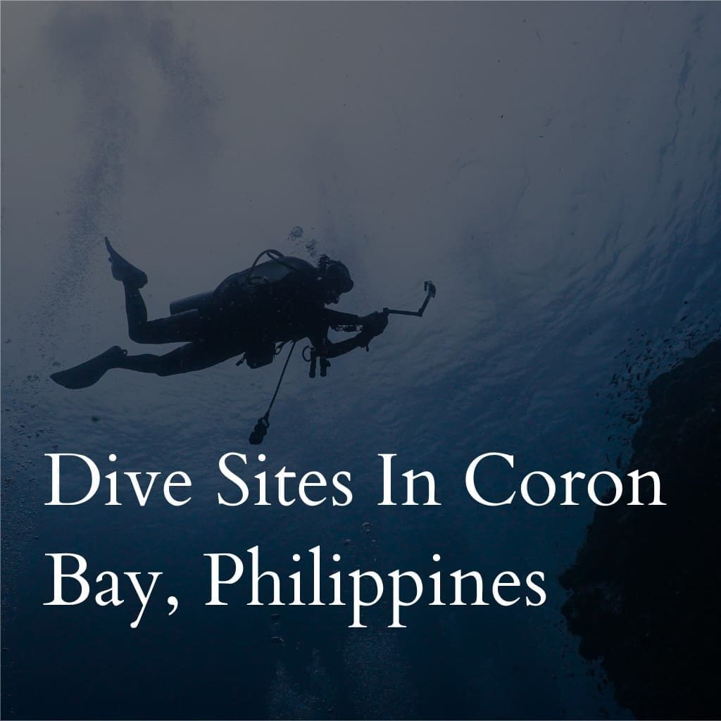 Scuba diver exploring underwater in Coron Bay, Philippines