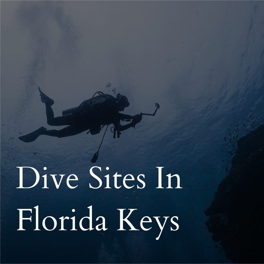 Scuba diver exploring underwater in Florida Keys