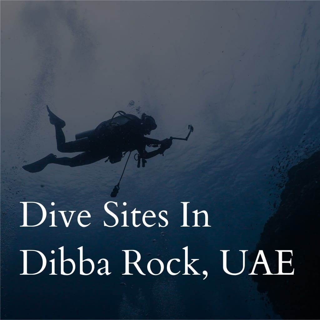 Scuba diver in dimly lit waters near Dibba Rock, UAE