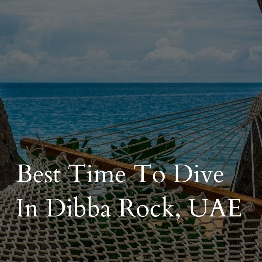 Hammock overlooking sea, Dibba Rock, UAE