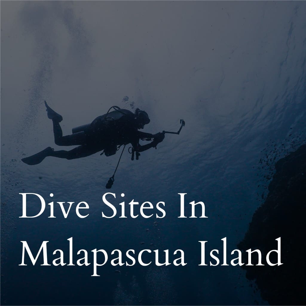 Scuba diver exploring underwater near Malapascua Island