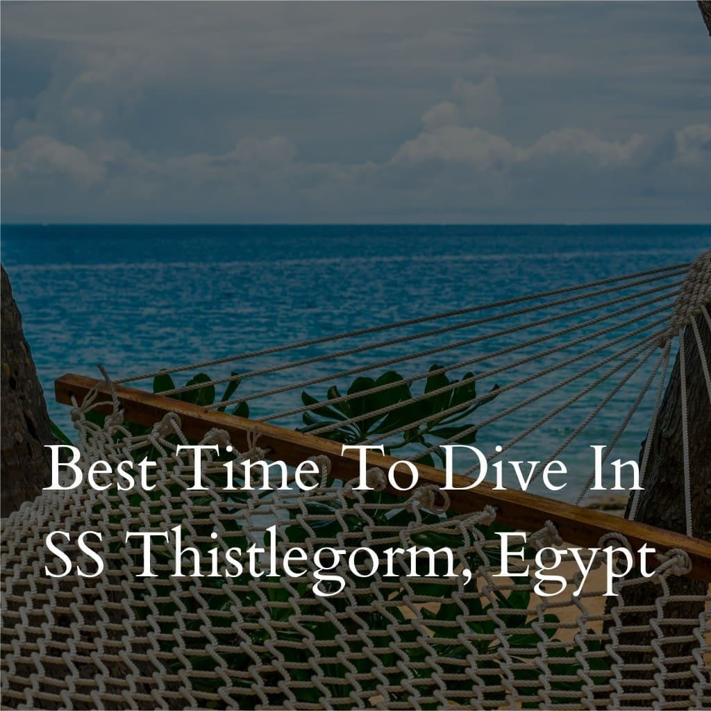 Hammock overlooking ocean with SS Thistlegorm text overlay