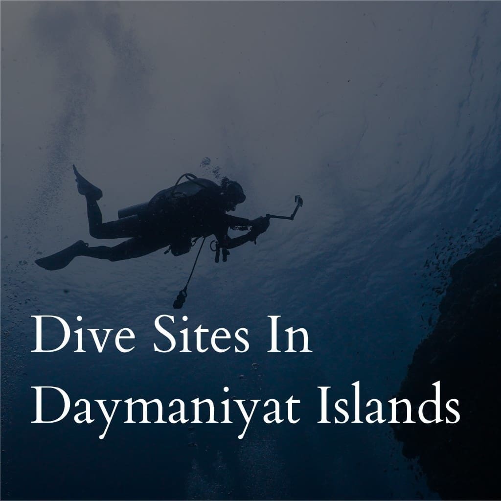 Scuba diver exploring undersea near Daymaniyat Islands