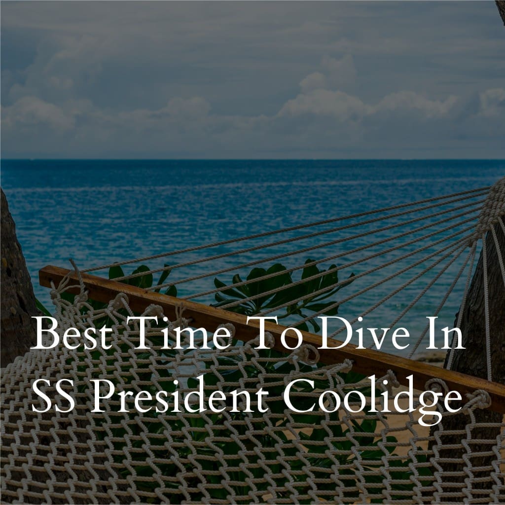 Hammock by sea with text about SS President Coolidge diving