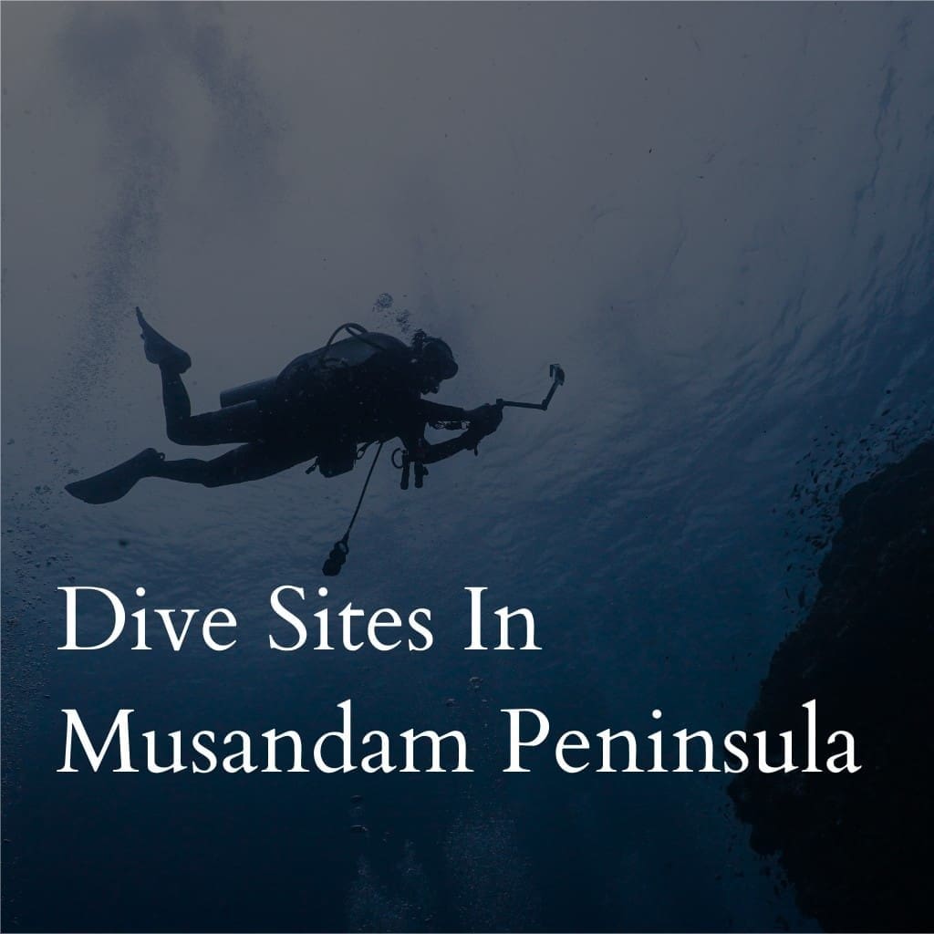 Diver exploring underwater in Musandam Peninsula