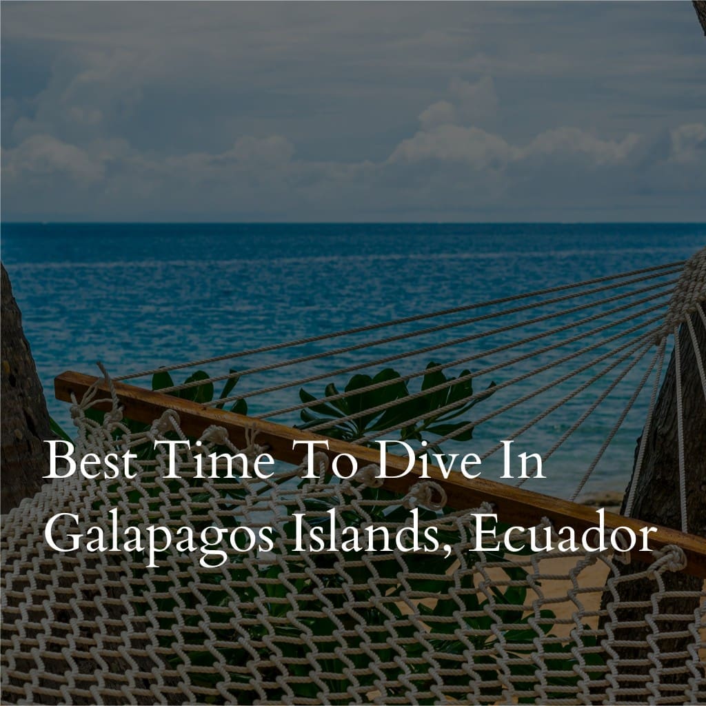 Best time to dive in Galápagos Islands