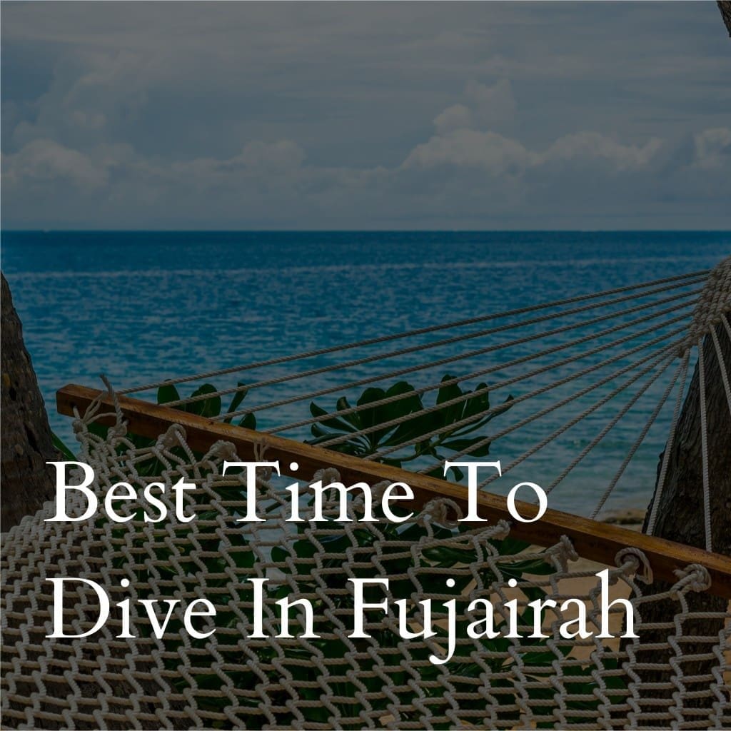 Hammock overlooking ocean in Fujairah, diving promo