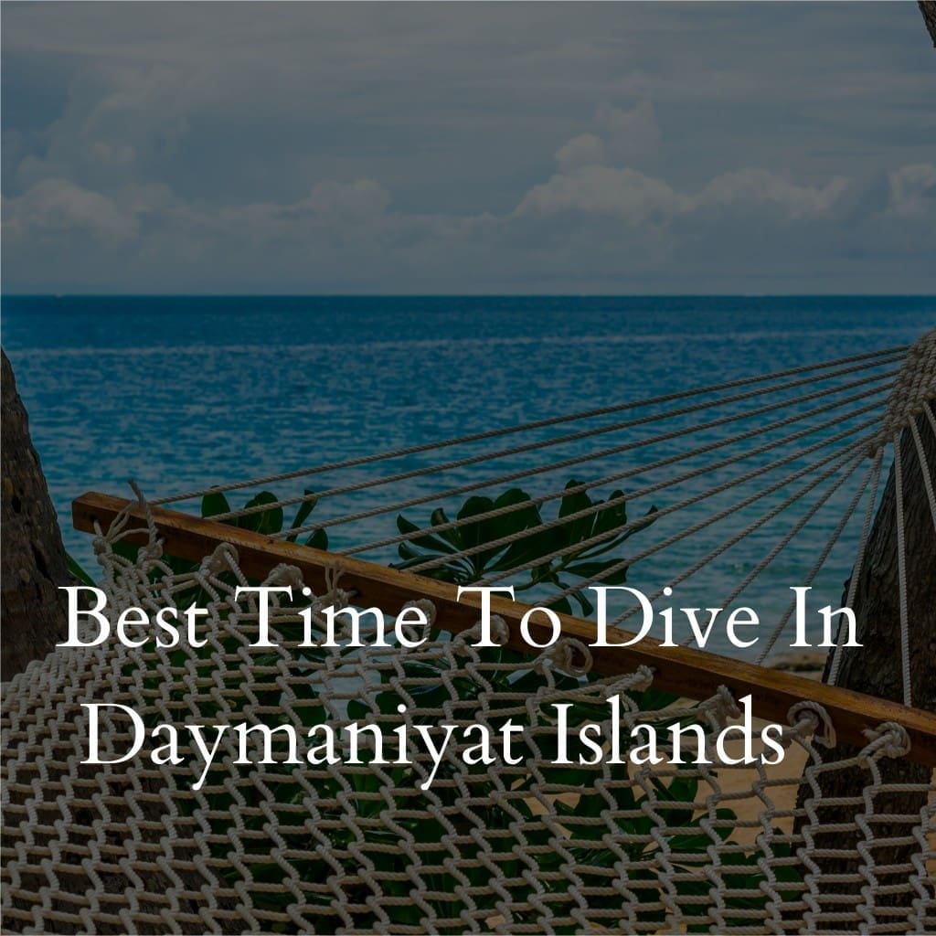 Ocean view through a hammock, text about Daymaniyat Islands