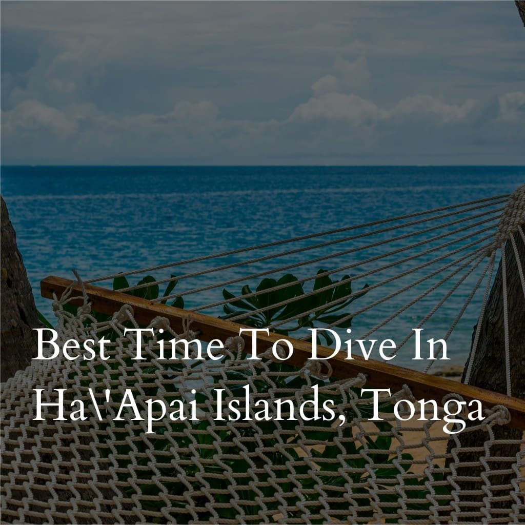 Hammock overlooking ocean at Ha'Apai Islands, Tonga