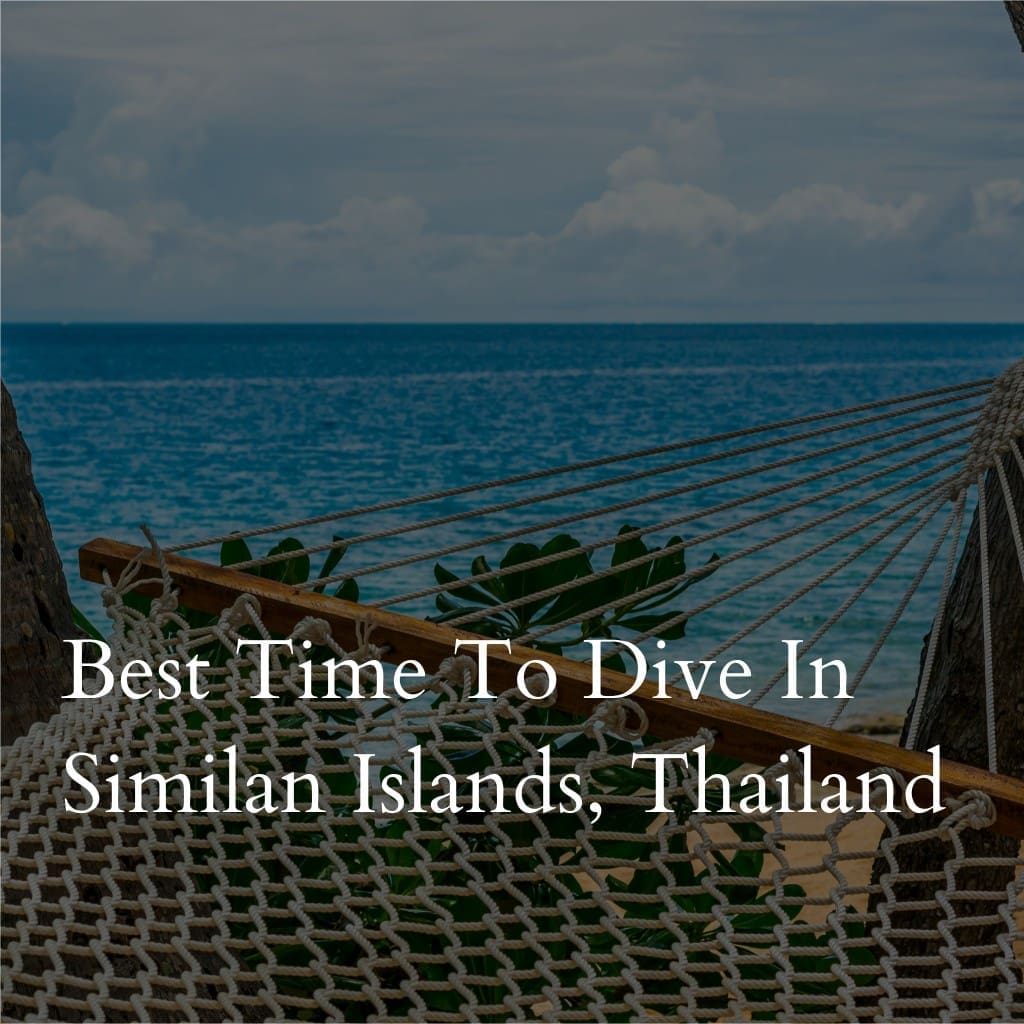 Hammock by the sea, Similan Islands, Thailand