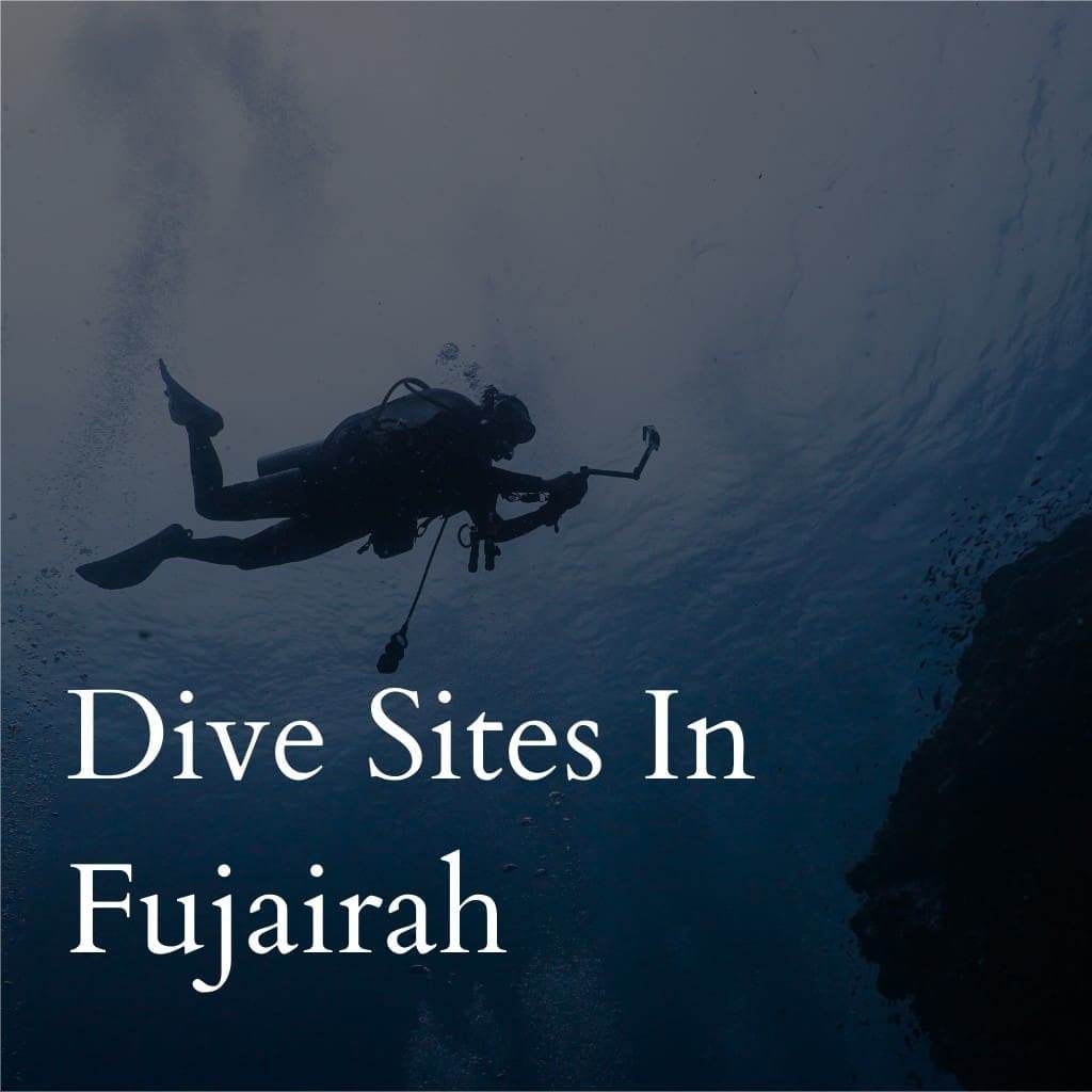 Scuba diver underwater at Fujairah dive site