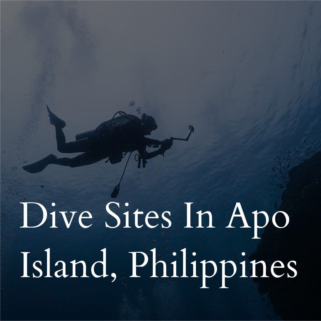 Dive sites in Apo Island