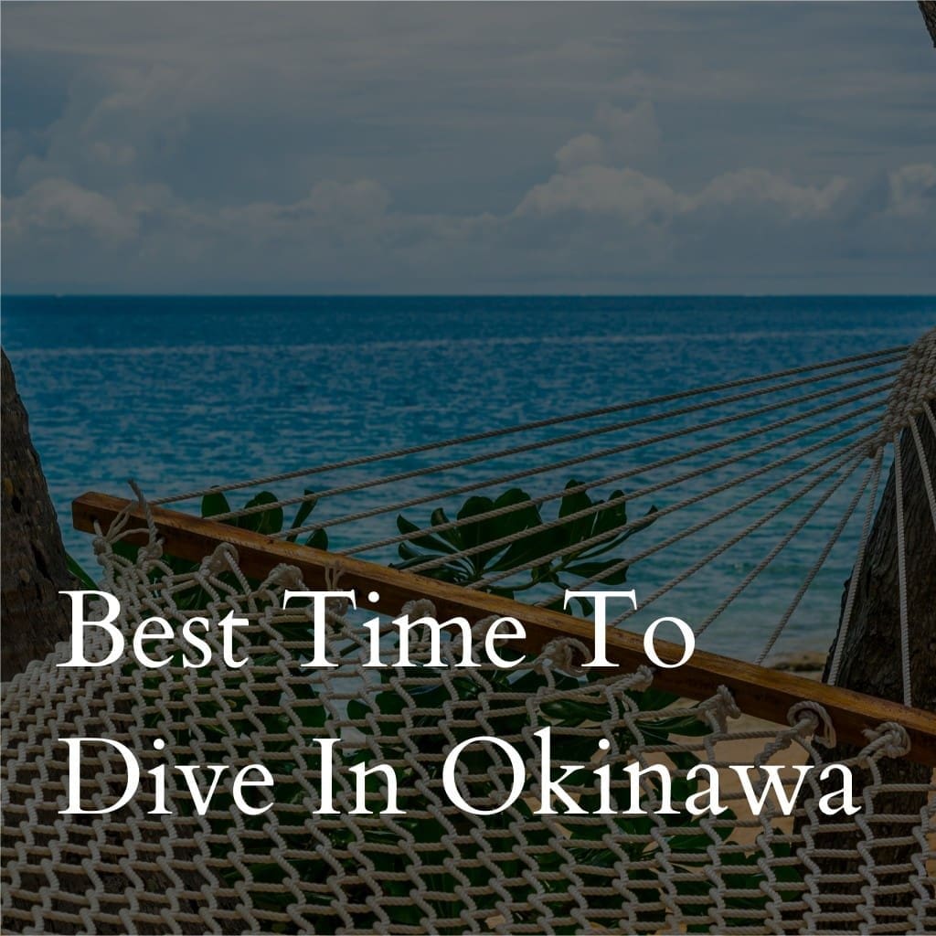 Hammock overlooking serene Okinawa sea