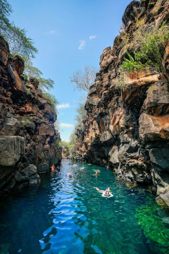 People swimming in clear water between tall rocky cliffs