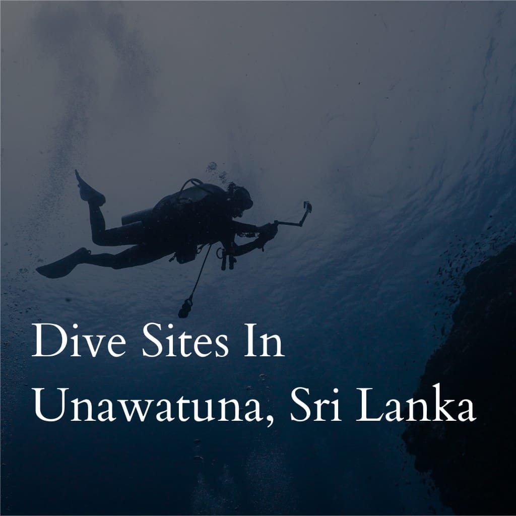 Scuba diver underwater in Unawatuna, Sri Lanka