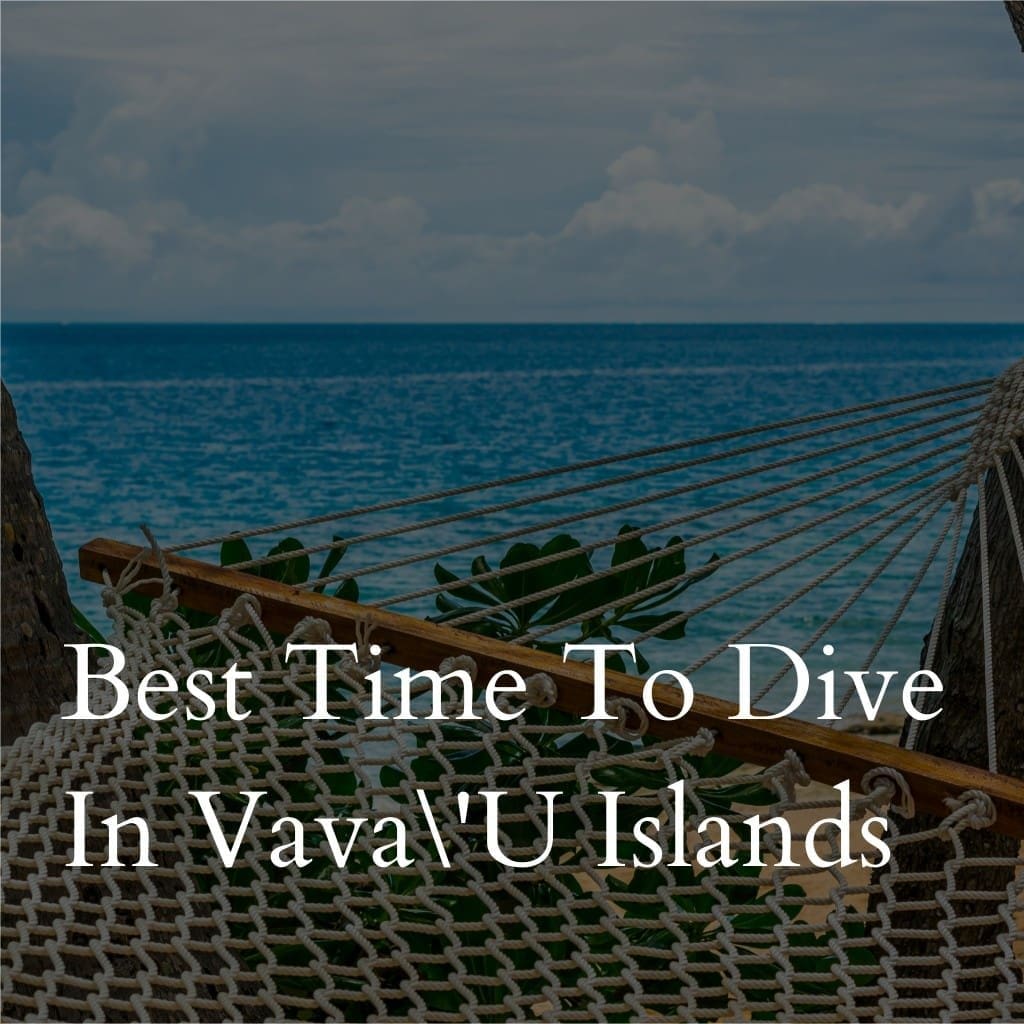 Hammock with ocean view, Vava'u Islands diving promotion