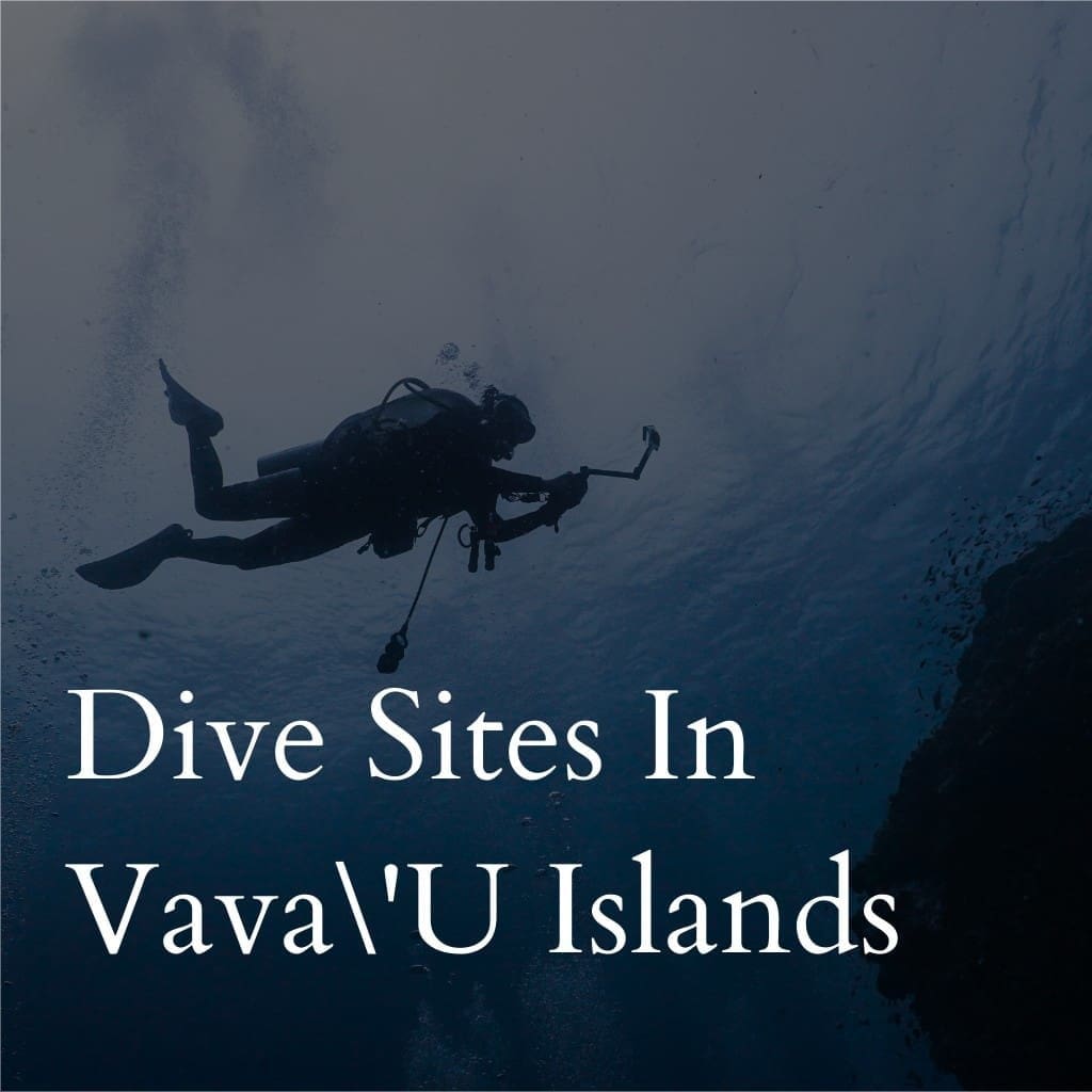 Diver exploring underwater at Vava'u Islands