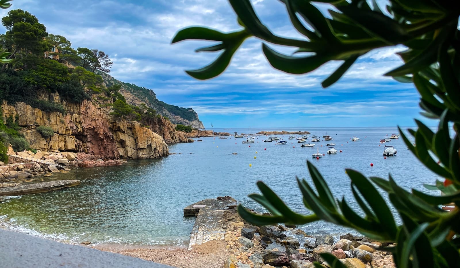 A body of water surrounded by trees and rocks