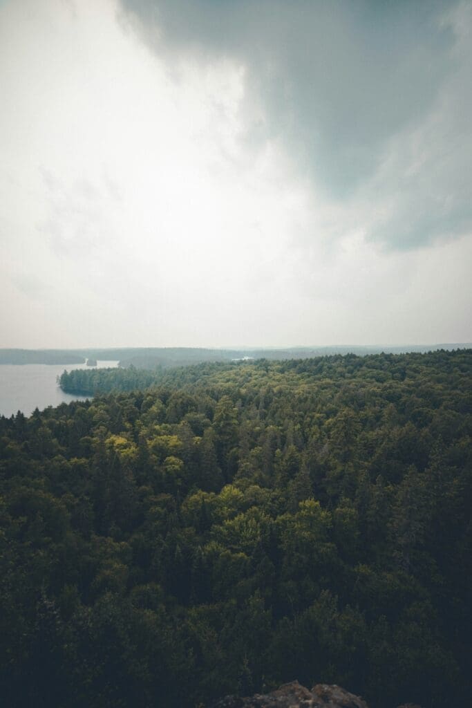 Overcast sky above dense forest and distant lake